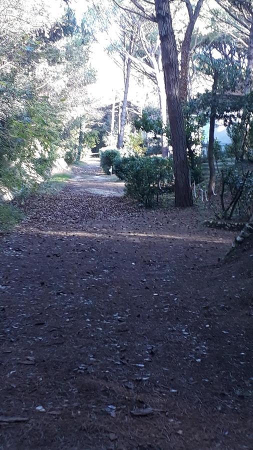 K/3 Διαμέρισμα Eraclea Mare Εξωτερικό φωτογραφία